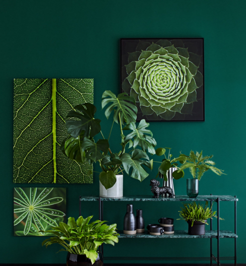 Groene schilderijen voor het Greenterior interieur