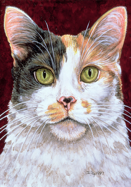 Marigold, 1997 (acrylic on panel)  van Ditz 