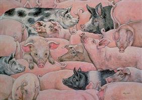 Pig-Spread 