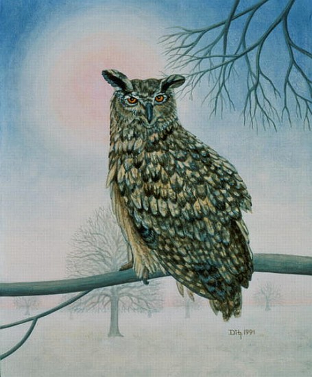 Winter-Owl  van Ditz 