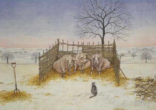 Winter Pigs  van Ditz 
