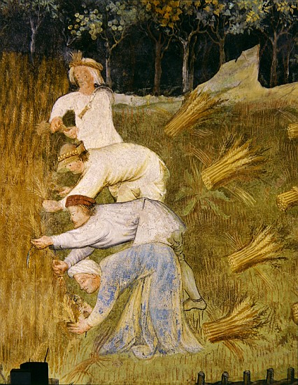 Harvesting wheat, detail van Italian School