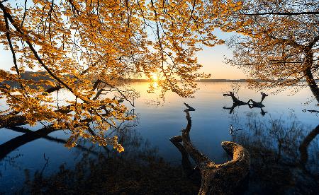 Autumn Morning