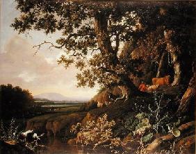 Pastoral landscape