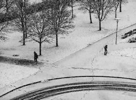 Under the snowfall