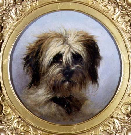 A Head of a Terrier (board) van Agnes Dundas