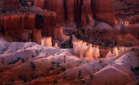 Canyon Light