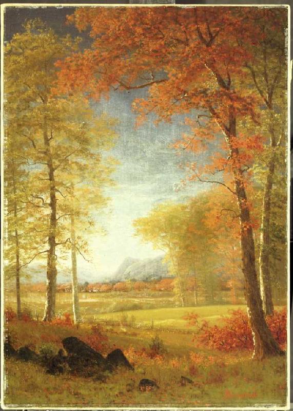 Herbst in Oneida County, New York. van Albert Bierstadt