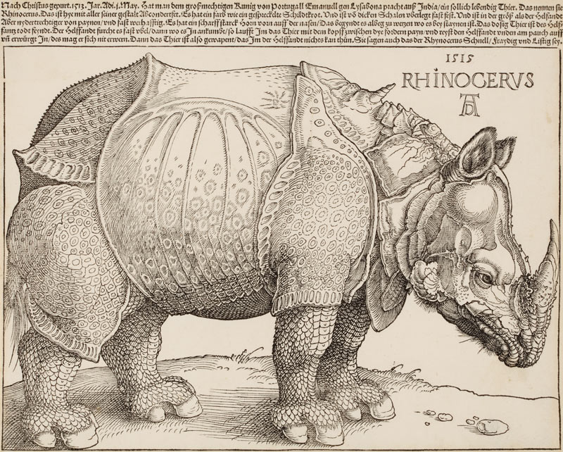 Rhinocerus (Das Rhinozeros) van Albrecht Dürer