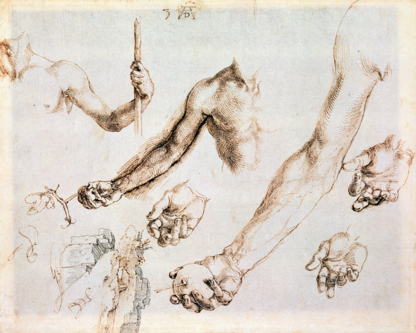 Study of male hands and arms (pen) van Albrecht Dürer
