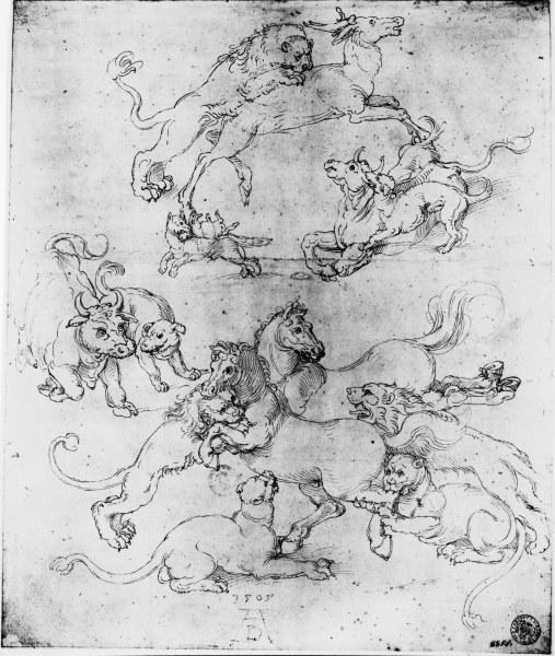 A.Dürer, Study of Attacked Animals/1505 van Albrecht Dürer