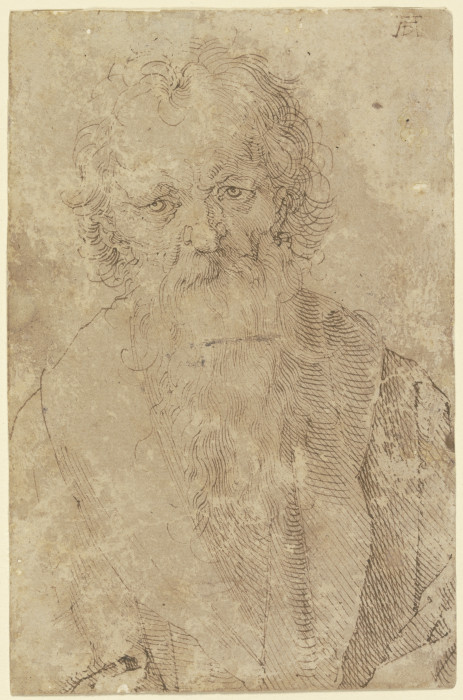 Bearded old man van Albrecht Dürer