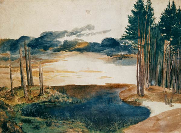 Ein Teich im Wald van Albrecht Dürer