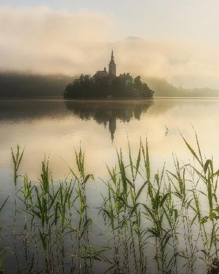 Summer morning at Lake Bled