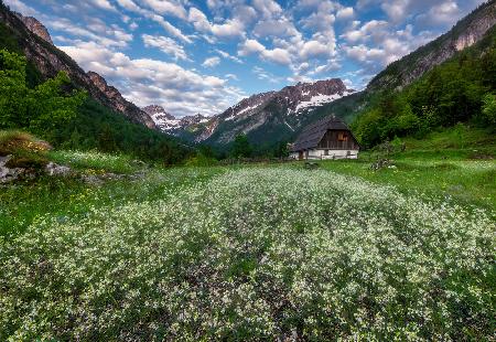 Zadnja Trenta valley