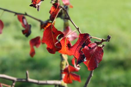 Der Herbst ist da