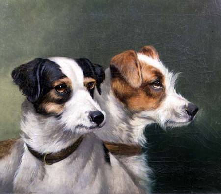 Two Fox Terriers van Alfred Wheeler