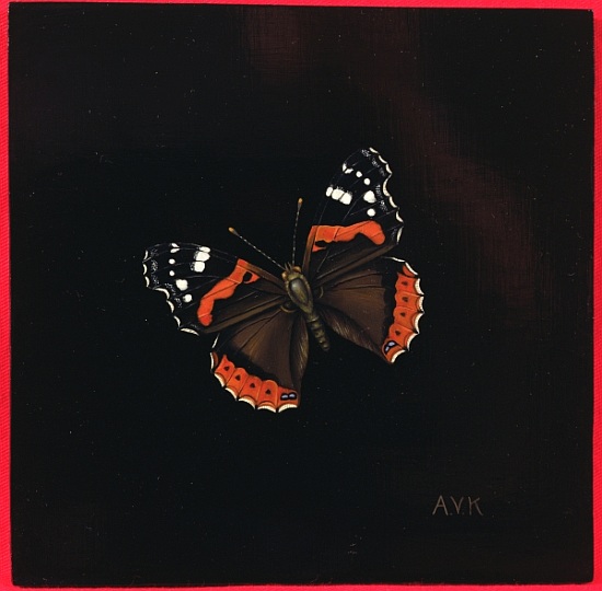 Red Admiral butterfly van  Amelia  Kleiser