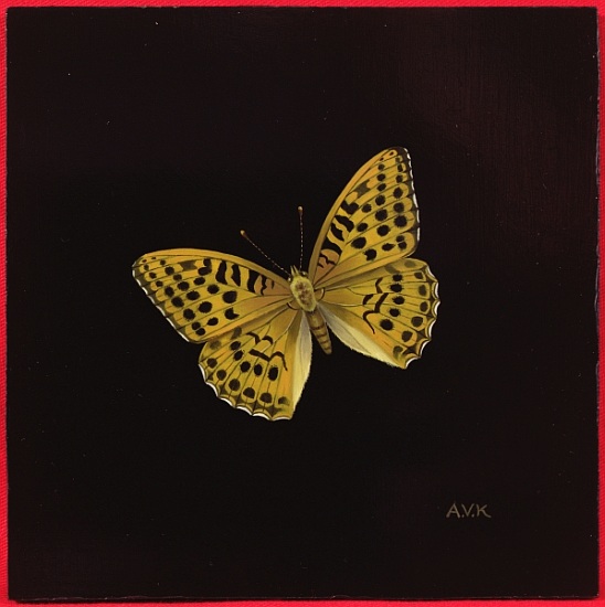 Silver washed fritillary butterfly van  Amelia  Kleiser