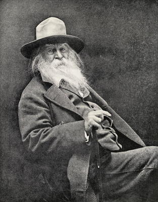 Walt Whitman (1819-91) (b/w photo) van American Photographer, (19th century)