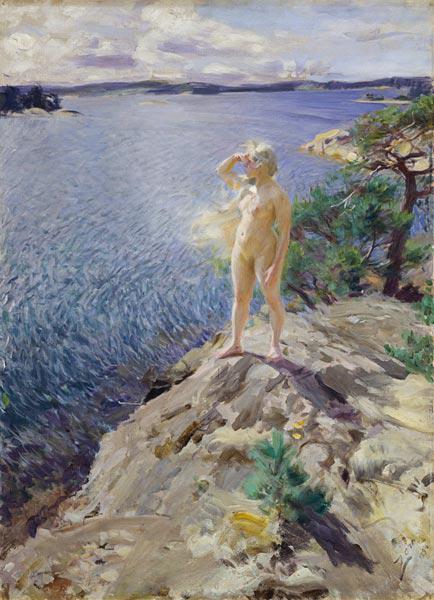 Op de rotsen - Anders Leonard Zorn