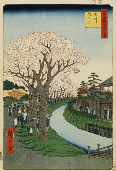 Cherry Blossoms on the Banks of the Tama River (One Hundred Famous Views of Edo) van Ando oder Utagawa Hiroshige