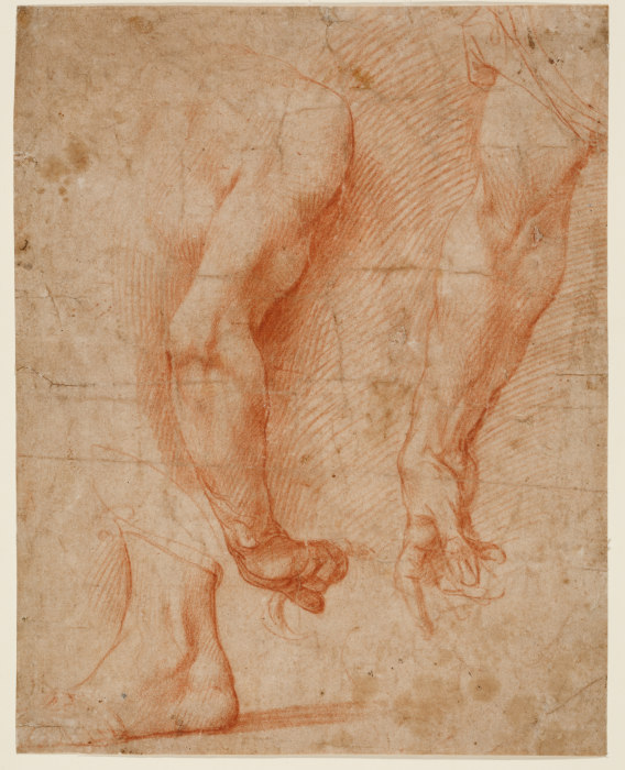 Studien von zwei Armen und eines Fußes van Andrea del Sarto