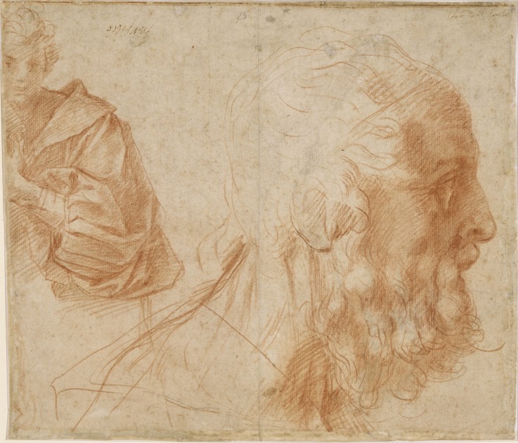 A youth and the head of an old man (Homer?). Study van Andrea del Sarto