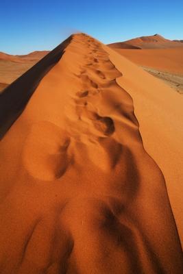 Spuren im Sand