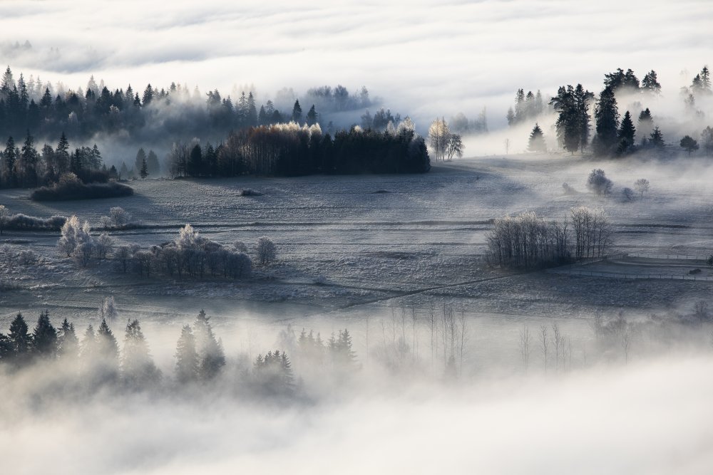misty &amp; frosty morning van Aneta Mikulska