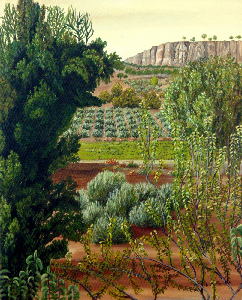 High Mountain Olive Trees van Angeles M. Pomata