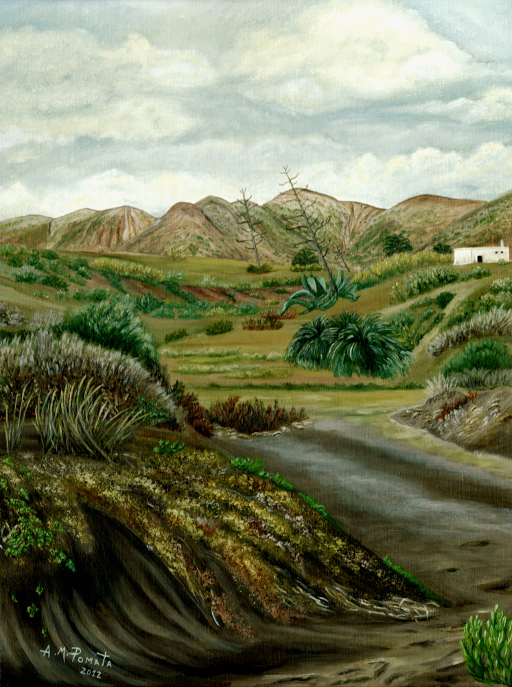 Pitas Path van Angeles M. Pomata