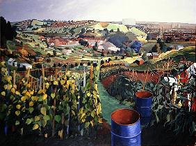 Allotments, St Wertburghs, Bristol (acrylic on canvas) 