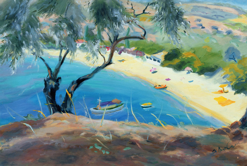 Achladies Bay, Skiathos, Greece, 1985 (oil on canvas)  van Anne  Durham