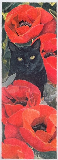 Black Cat with Poppies (pastel on paper)  van Anne  Robinson