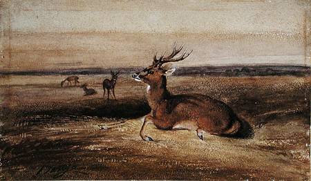 Resting Deer van Antoine Louis Barye