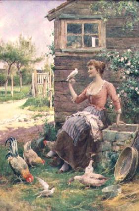 The Farmer's Daughter