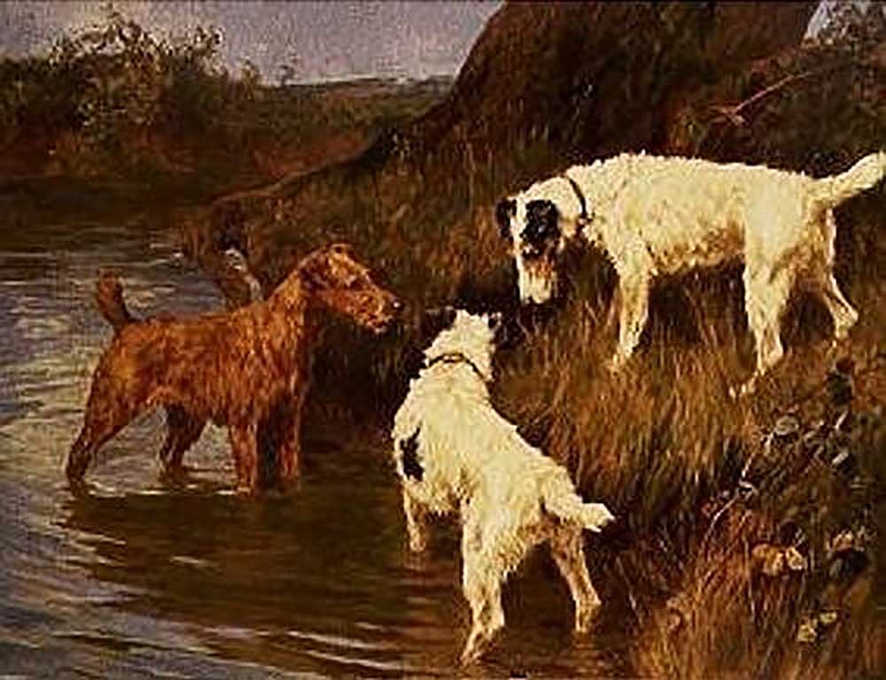 Three terriers at a riverbank van Arthur Wardle