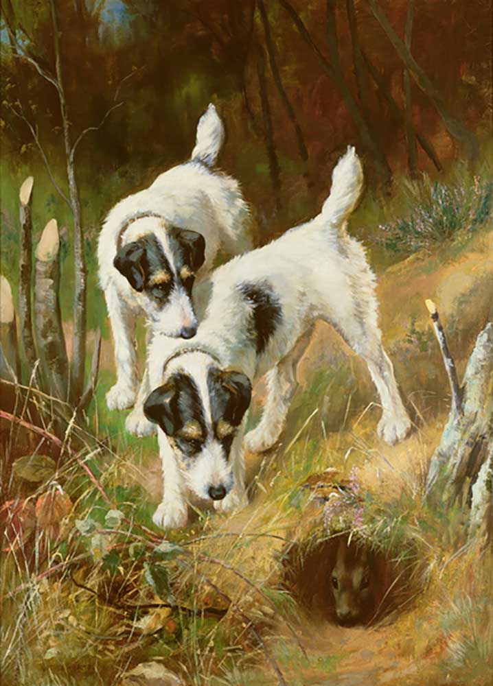 Terriers Rabbiting van Arthur Wardle