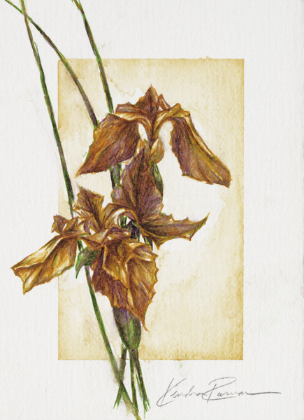 Golden Irises van ArtLifting ArtLifting