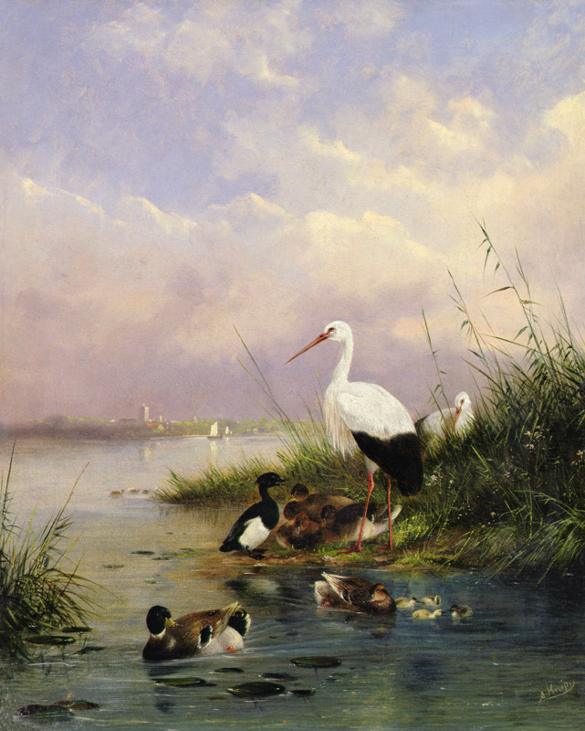 A family of Mallard, two Storks and a family of Tufted Ducks van Augustus Knip