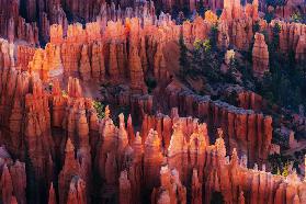 Bryce Canyon at Sunset