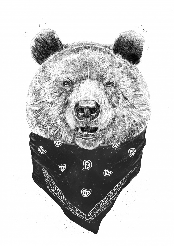 Wild bear van Balazs Solti