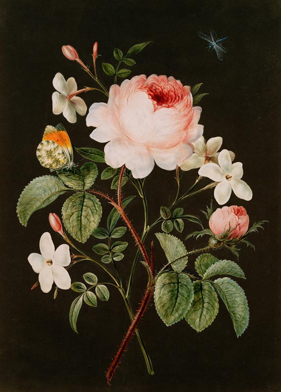 Rose and jasmine flower arrangement van Barbara Regina Dietzsch