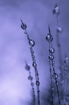 Drops of Silver