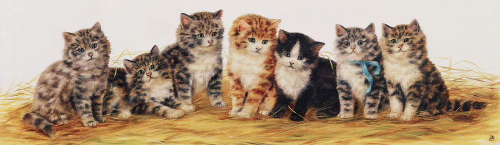 Seven Kittens van Betsy Bamber