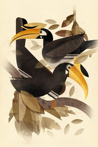 Hornbills van Dieter Braun