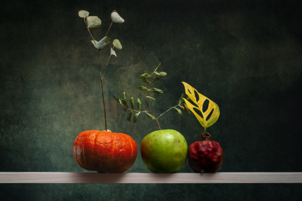 Still life with pumpkin, apple and pomegranate van Brig Barkow