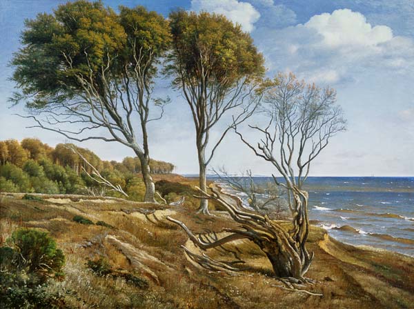 A Coastal Landscape van Carl Frederik Aagaard