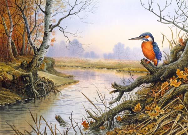 Kingfisher: herfstscene bij de rivier  - Carl  Donner van Carl  Donner